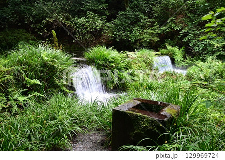 晩夏の池山水源 晩夏の池山水源 129969724