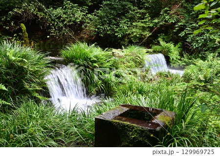 晩夏の池山水源 晩夏の池山水源 129969725