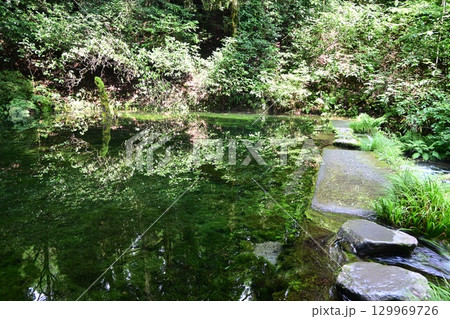 晩夏の池山水源 晩夏の池山水源 129969726