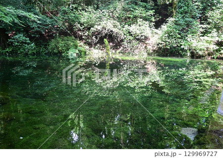 晩夏の池山水源 晩夏の池山水源 129969727