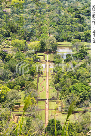 シーギリヤロックの古代遺跡へ続く道 129969856
