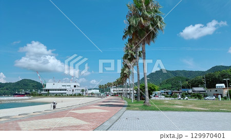 夏の海と青空が広がる穏やかな景色 129970401