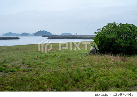 日間賀島の海 愛知県南知多 日間賀島の海 愛知県南知多 129970443