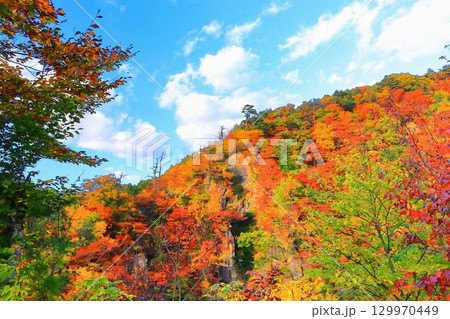 爽やかな青空と鮮やかな紅葉の鳴子峡 129970449
