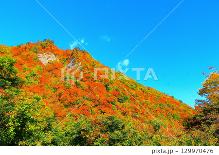 爽やかな青空と鮮やかな紅葉の鳴子峡 129970476