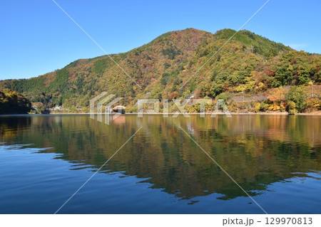紅葉が美しい奥多摩湖 東京 紅葉が美しい奥多摩湖 東京 129970813