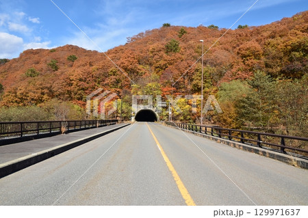紅葉が美しい五十里湖 栃木 紅葉が美しい五十里湖 栃木 129971637