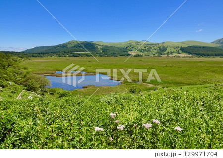 八島湿原 129971704