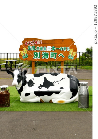 【別海町「道の駅おだいとう」生乳生産量日本一の看板と牛形の椅子】 129971892