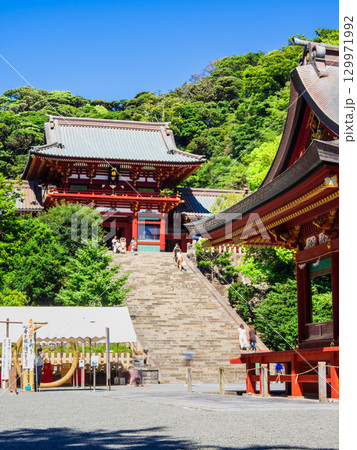鎌倉　鶴岡八幡宮　本宮と大石段 129971992