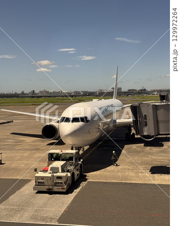 ただいまとおかえり ただいまとおかえり 129972264