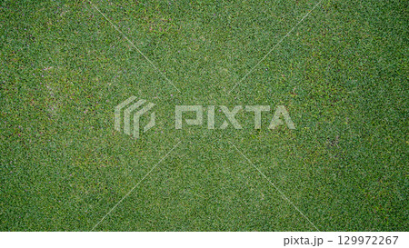 Green grass background, top view background of garden bright grass concept used for making green backdrop. 129972267
