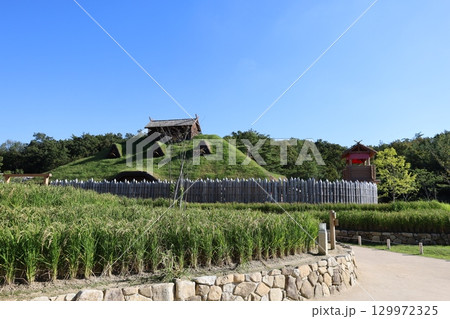 ジブリパーク、タタラ場【愛知・長久手市】 ジブリパーク、タタラ場【愛知・長久手市】 129972325