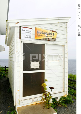 【根室市　日本本土最東端地　北海道最古の洋式灯台「納沙布岬灯台」岬野鳥観察舎】 129972456