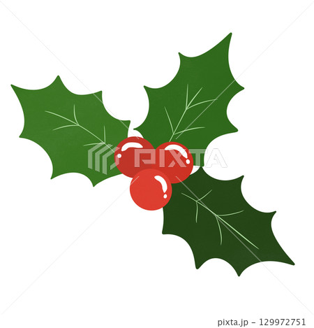 Christmas Holly and berry  129972751