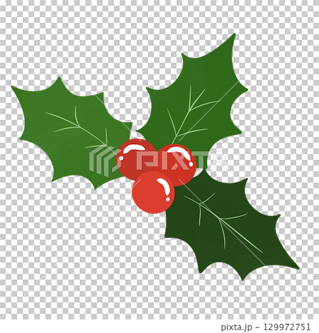 Christmas Holly and berry  129972751