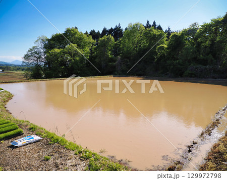 田植え前の水を張った水田の風景 129972798