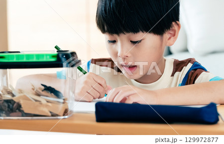 クワガタの観察日記を書く小学生男子 129972877