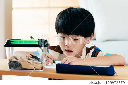 クワガタの観察日記を書く小学生男子 129972879