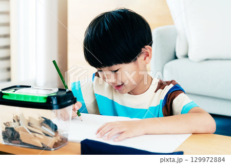 クワガタの観察日記を書く小学生男子 129972884