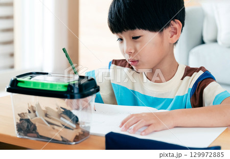 クワガタの観察日記を書く小学生男子 129972885