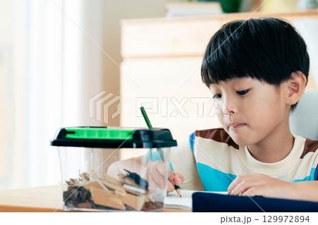 クワガタの観察日記を書く小学生男子 クワガタの観察日記を書く小学生男子 129972894