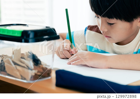 クワガタの観察日記を書く小学生男子 クワガタの観察日記を書く小学生男子 129972898