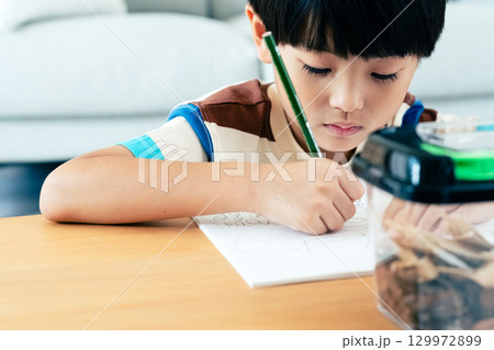 クワガタの観察日記を書く小学生男子 129972899