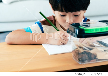 クワガタの観察日記を書く小学生男子 129972900