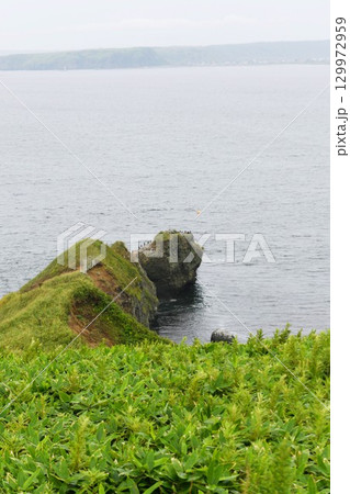 【浜中町　厚岸霧多布昆布森国定公園「アゼチの岬」展望台よりアゼチ岩を望む】 129972959