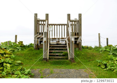 【厚岸町　厚岸霧多布昆布森国定公園「あやめヶ原」チンベの鼻展望台】 129973011