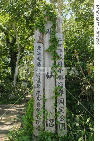 神仙沼 129973024