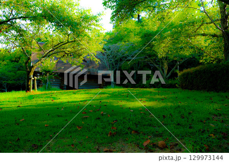 木漏れ日の芝生とログハウス 129973144