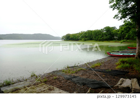 【標茶町 釧路湿原国立公園「塘路湖」塘路キャンプ場とカヌーボート】 【標茶町 釧路湿原国立公園「塘路湖」塘路キャンプ場とカヌーボート】 129973145