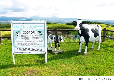 【弟子屈町 町営牧場「900草原」駐車場の牛モニュメント】 【弟子屈町 町営牧場「900草原」駐車場の牛モニュメント】 129973455