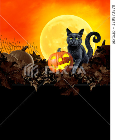 Halloween Party Poster Halloween Party Poster 129973879