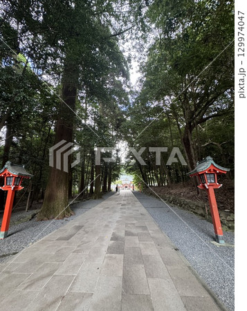 霧島神宮への道 129974047
