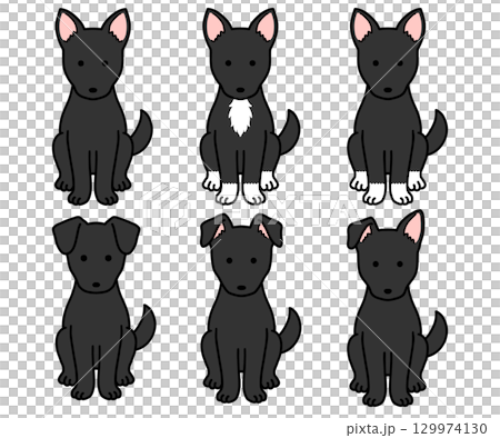 狗、救援犬、混種狗/黑狗 129974130