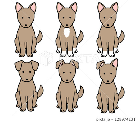 犬・保護犬・雑種犬／茶色い犬 129974131