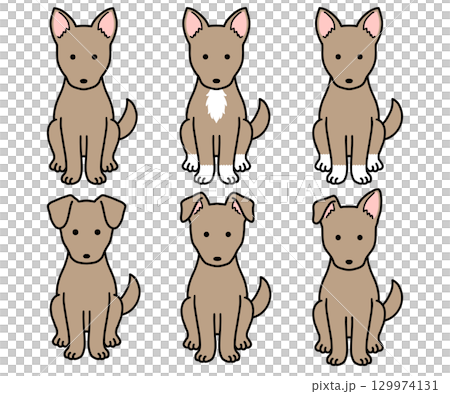 狗、救援犬、混種狗/棕色狗 狗、救援犬、混種狗/棕色狗 129974131