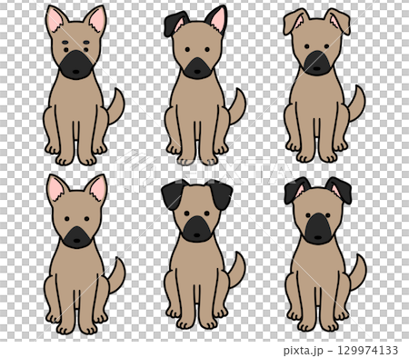 狗、救援犬、混種狗/黑鼻狗 狗、救援犬、混種狗/黑鼻狗 129974133