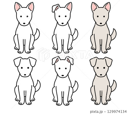 犬・保護犬・雑種犬／白犬 129974134
