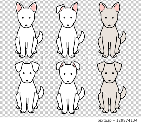 犬・保護犬・雑種犬／白犬 129974134