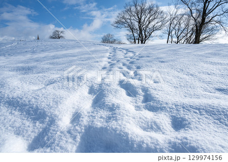新雪の積もった足跡 129974156