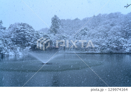 雪の日の高岡古城公園の堀 129974164