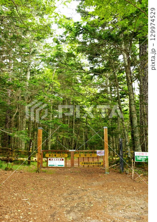 【足寄町 阿寒摩周国立公園「オンネトー湯の滝」林道(遊歩道)入口】 【足寄町 阿寒摩周国立公園「オンネトー湯の滝」林道(遊歩道)入口】 129974529