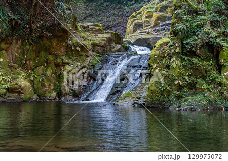 赤目四十八滝 霊蛇滝 129975072