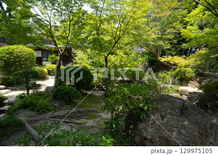 半六庭園（旧中埜半六邸庭園）を散策　愛知県半田市 129975105