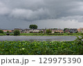ハスまつりが始まった季節 雨の合間の城沼のほとりの風景 129975390