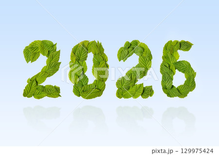 Green leaves in the shape of numbers 2026 on a blue background. New Year 2026 save it earth environment and our planet. Earth day 2026 concept and green recycling 129975424
